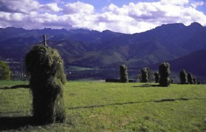 Suszenie siana w Tatrach na osterwkach. Źródło: www.bank-zdjec.com