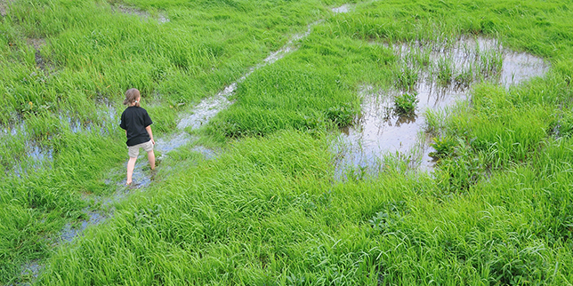 Spacer przez podmokłą łąkę w Narwiańskim Parku Narodowym, fot. Agnieszka Gaszyńska, kadr z oryginału