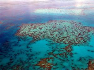Wielka rafa koralowa. Ta forma życia to fundamentalny element światowego ekosystemu, bardzo wrażliwy na zanieczyszczenia związane z emisją CO2. Źródło Pixabay. CC0 DP