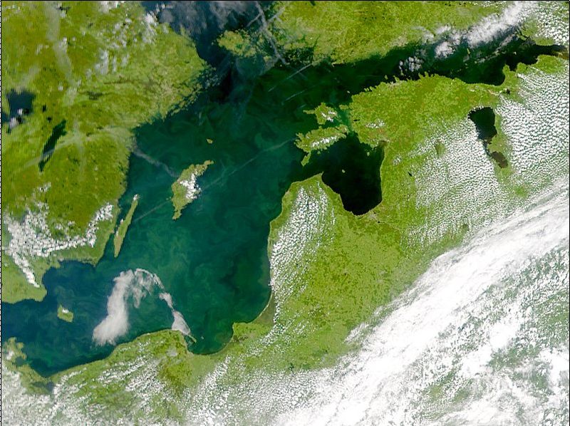 Zdjęcie NASA przedstawia zakwit fitoplanktonu na Morzu Bałtyckim w 2001 roku. Źródło Wikipedia. DP