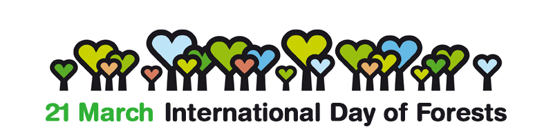 międzynarodowy dzień lasów