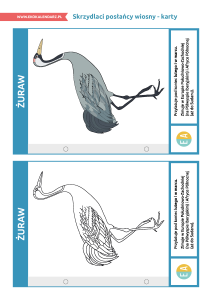 pakiet-05-12-Światowy-Dzień-Ptaków-Wędrownych-karty_Strona_02