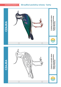 pakiet-05-12-Światowy-Dzień-Ptaków-Wędrownych-karty_Strona_04