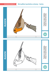 pakiet-05-12-Światowy-Dzień-Ptaków-Wędrownych-karty_Strona_06