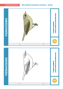 pakiet-05-12-Światowy-Dzień-Ptaków-Wędrownych-karty_Strona_08