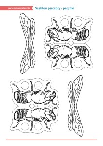 pakiet-08-08-Dzień-Pszczół_Strona_27